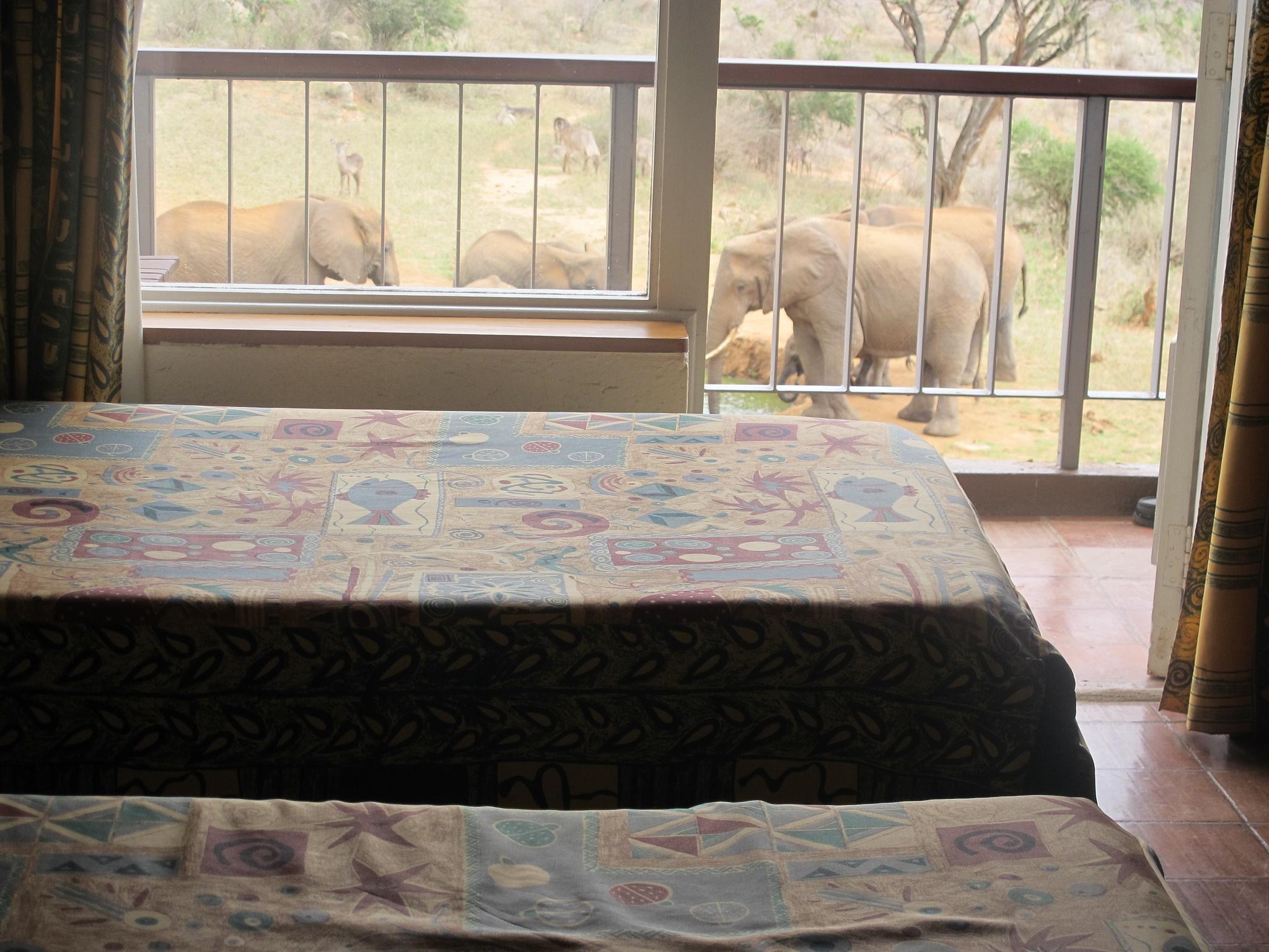 Ngulia Safari Lodge Tsavo 外观 照片
