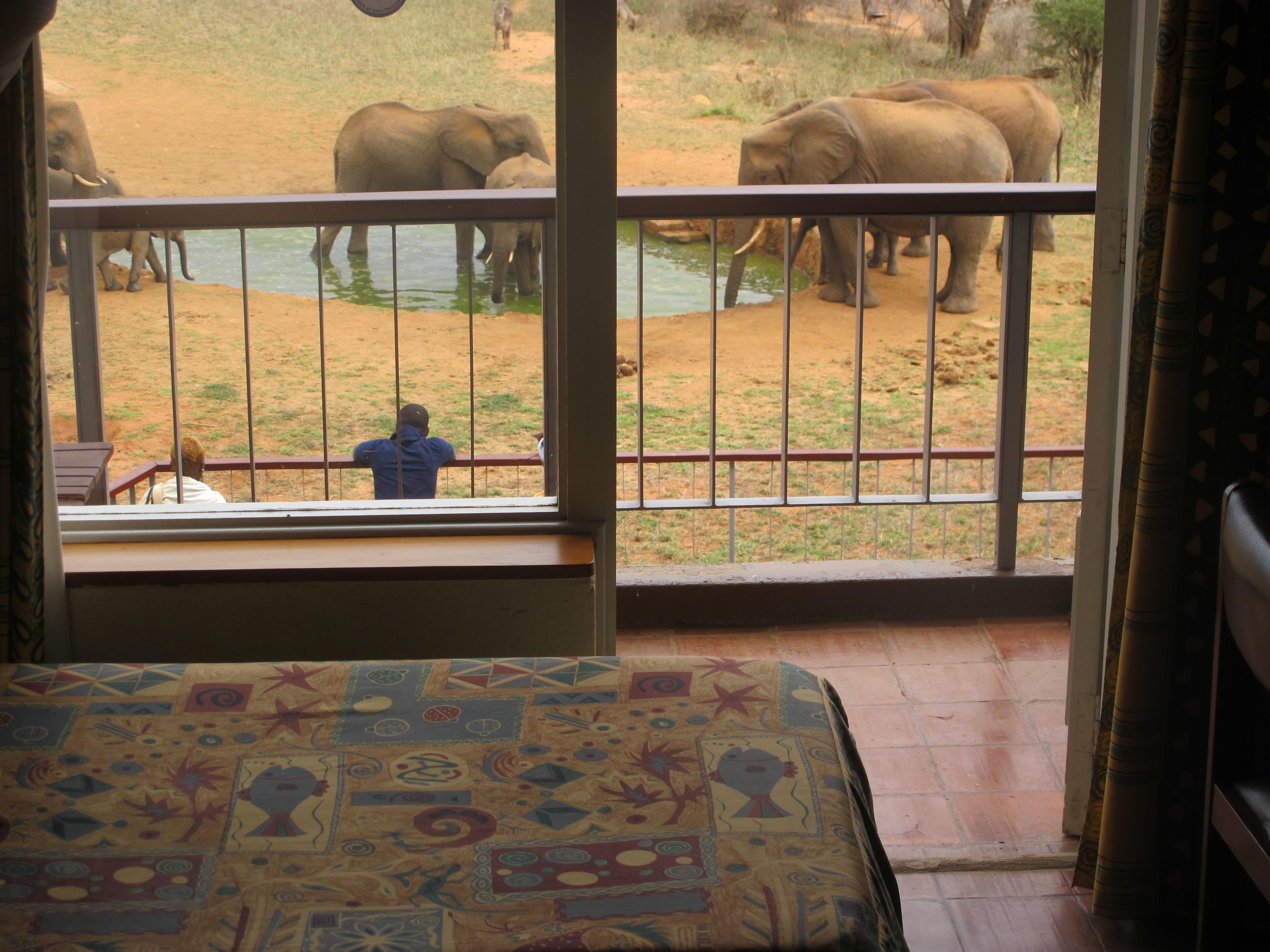 Ngulia Safari Lodge Tsavo 外观 照片