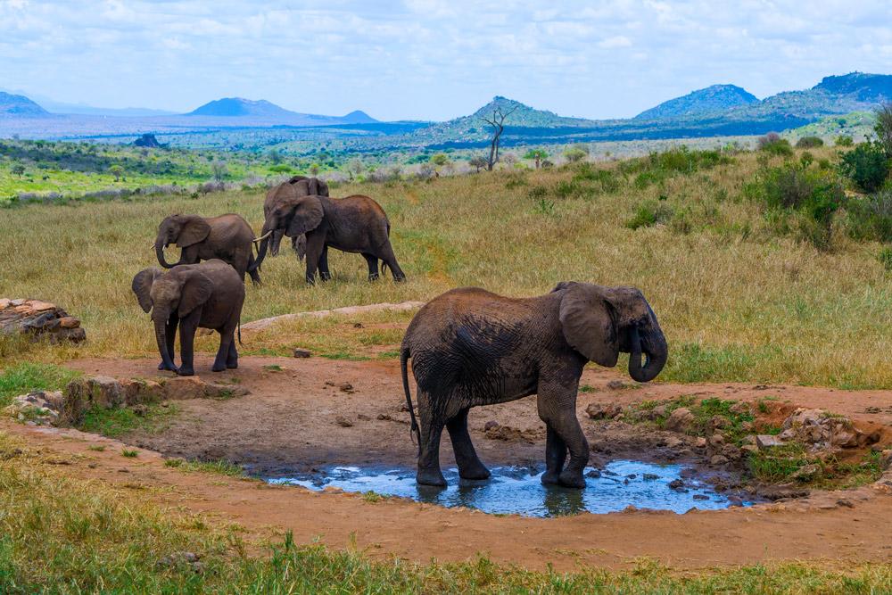 Ngulia Safari Lodge Tsavo 外观 照片