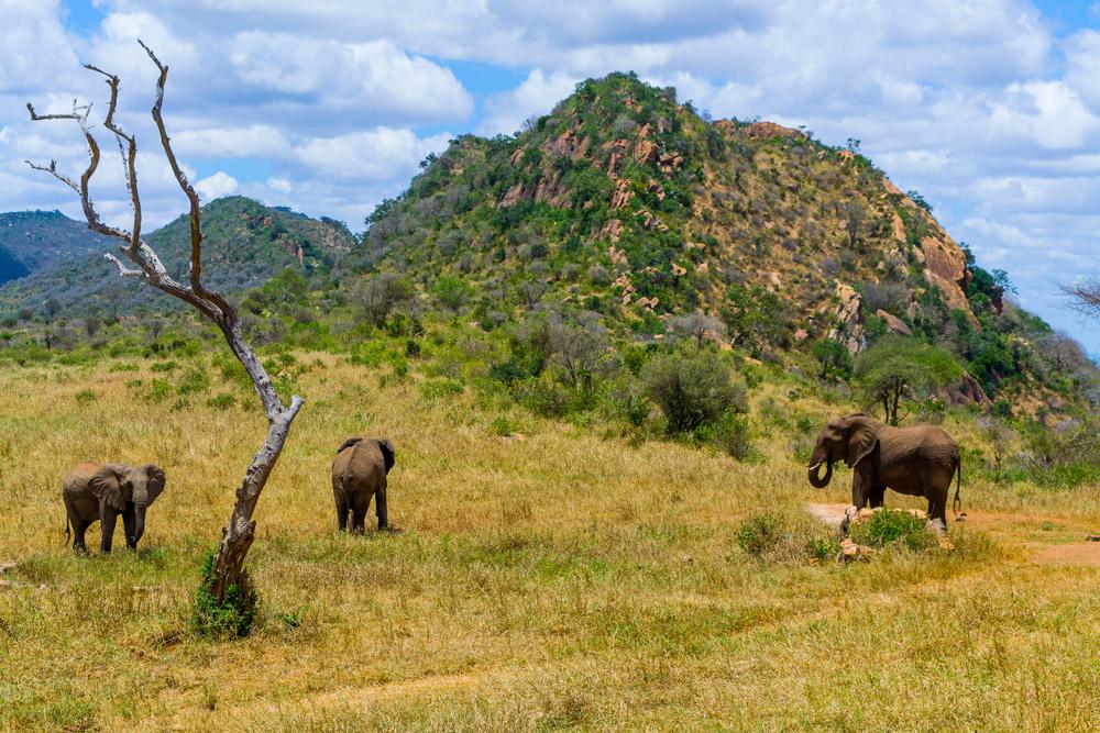 Ngulia Safari Lodge Tsavo 外观 照片