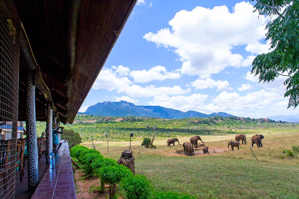 Ngulia Safari Lodge Tsavo 外观 照片