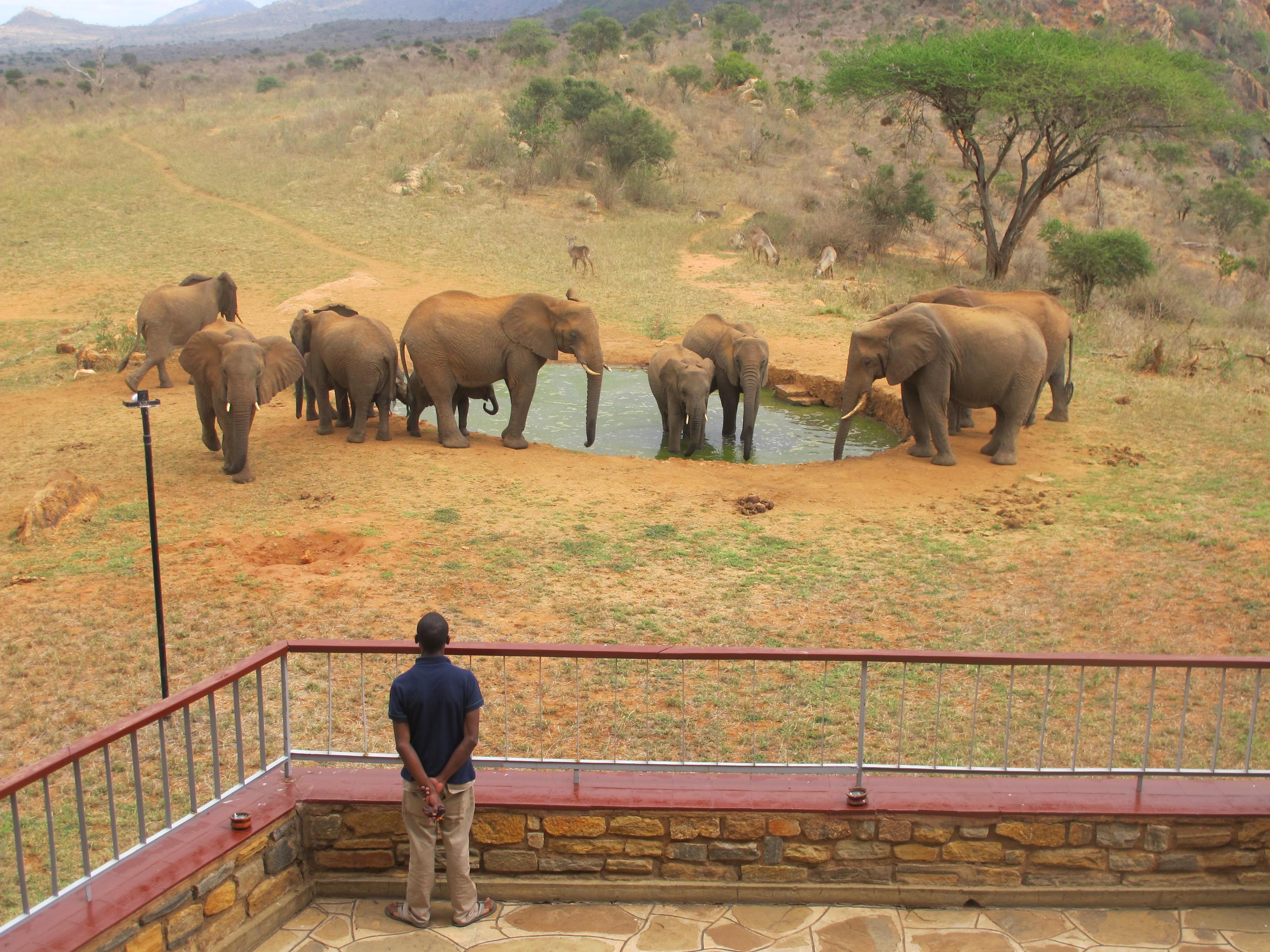 Ngulia Safari Lodge Tsavo 外观 照片